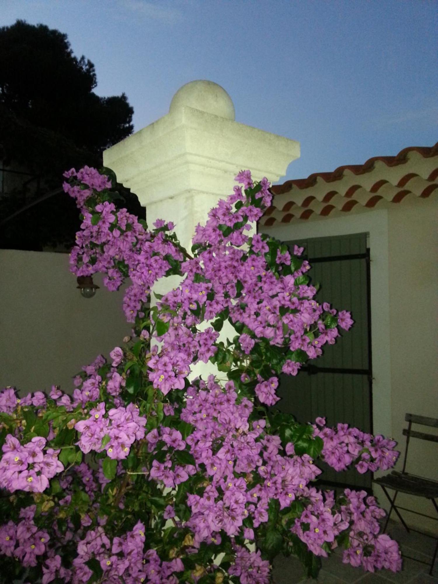 Gite Le Felibre Chateauneuf-les-Martigues Room photo