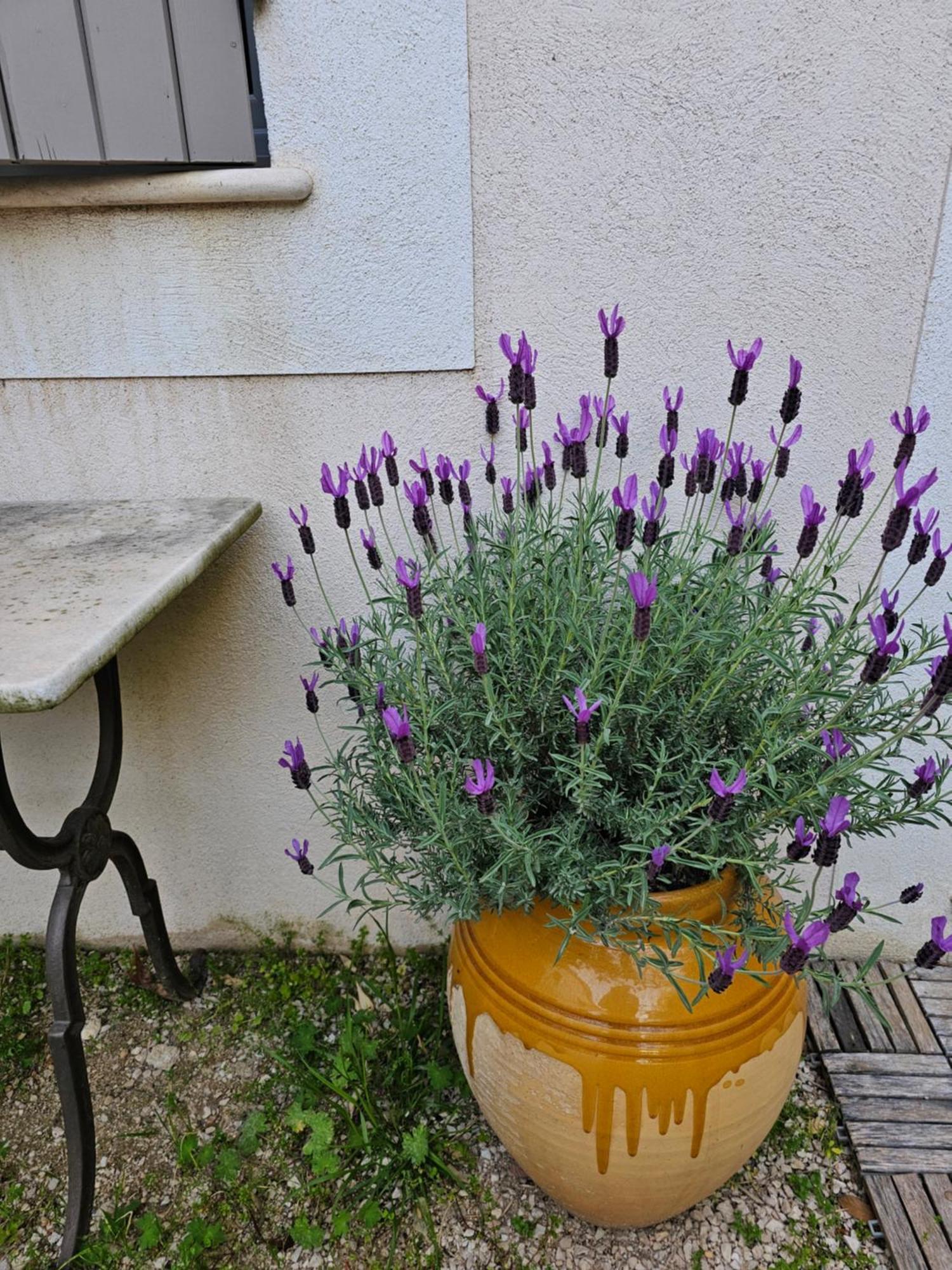 Gite Le Felibre Chateauneuf-les-Martigues Exterior photo